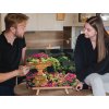 Painting_by_Numbers_Flower_Fountain_M9