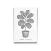 Dotting_Points_Fiddle_Leaf_Fig_M2