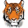Paint by Number - Tiger Head