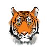 Paint by Number - Tiger Head
