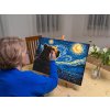 Painting_by_Numbers_Vincent_Van_Gogh_-_Starry_Night_and_the_Bear_M9