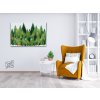 Paint by Number - Pine Trees