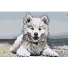 Paint by Number - Cheerful Dog