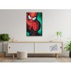 Paint by Number - Spiderman 2