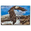 Diamond Painting - Eagle by the Waterfall