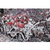 Paint by Number - Hydrangeas