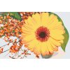 Paint by Number - Gerbera
