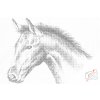 Dotting points - Horse