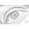 Dotting points - Human Eye