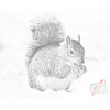 Dotting points - Squirrel with a Nut