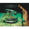 Paint by Number - Fish in the Glass
