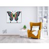 Paint by Number - Butterly in Colors
