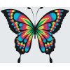 Paint by Number - Butterly in Colors