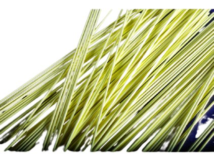 284 removebg preview