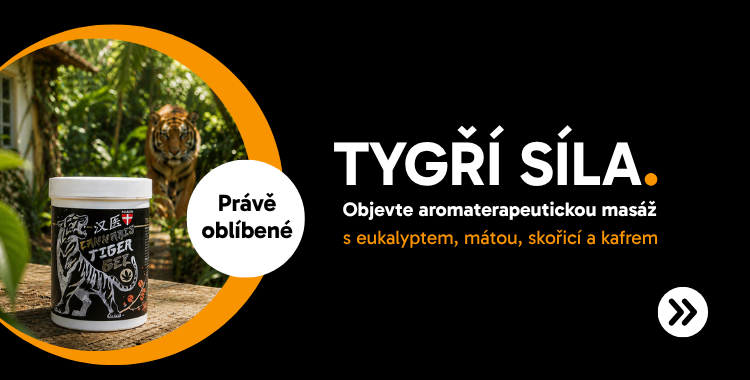 Tygří síla