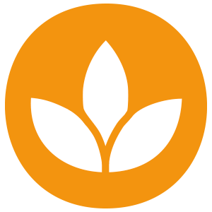 FUNKČNÍ PŘÍRODNÍ KOSMETIKA