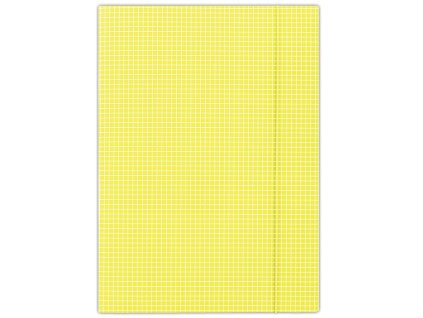 Kartónový obal s gumičkou DONAU žlté káro