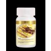 HF024 Cordyceps Capsule 60