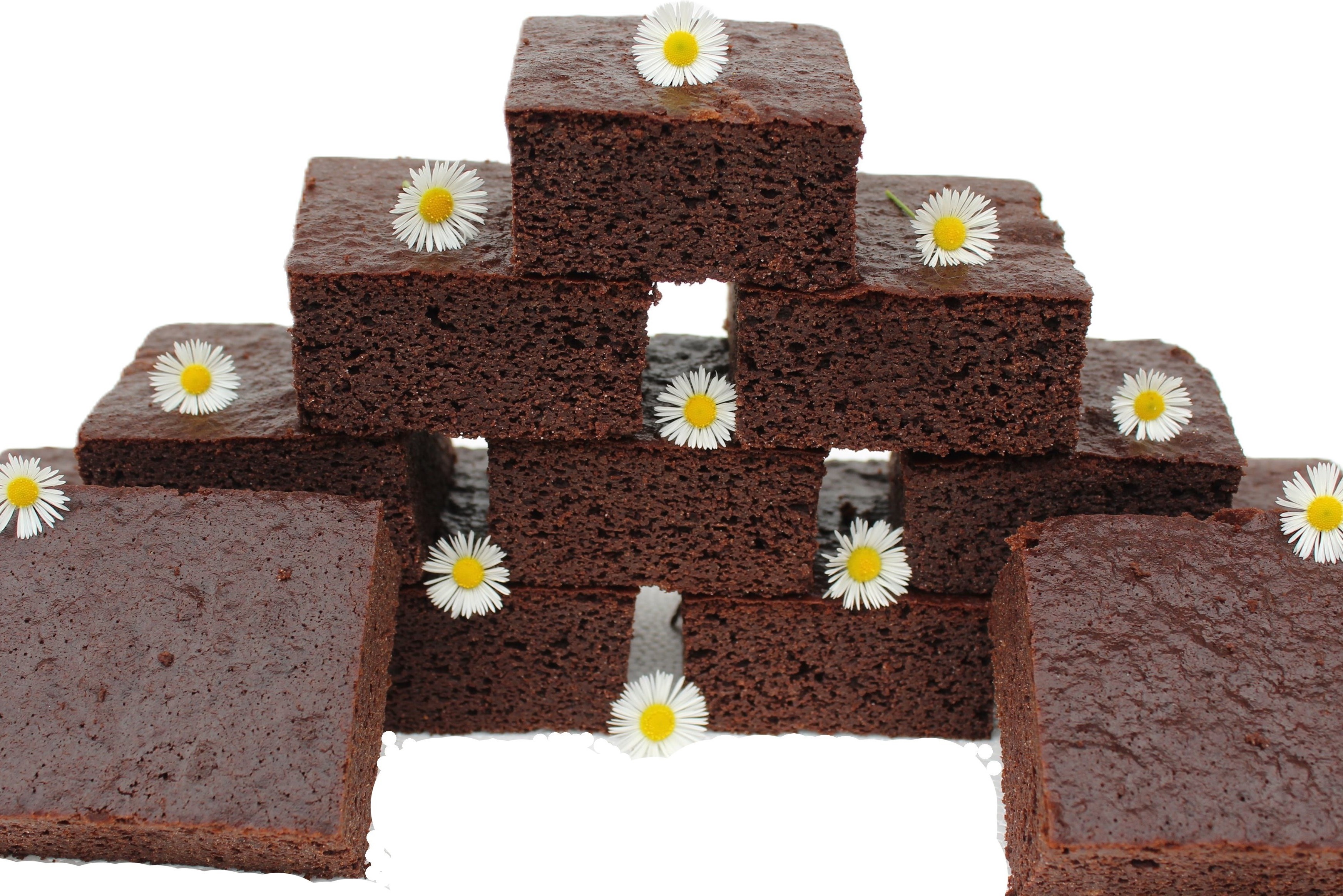 BIO BROWNIES FACTORY