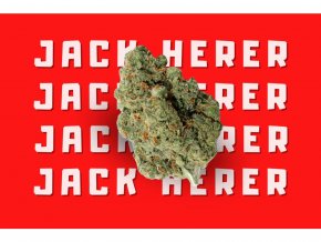 2022 hhcpo 12 jack herer