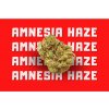 2028 hhcpo 12 amnesia haze