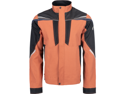 stažený soubor (41)