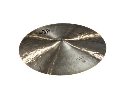 D 19