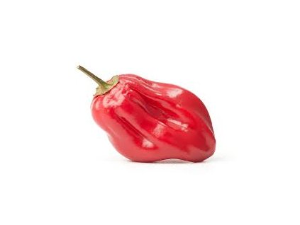 Habanero red Savina - semínka chilli