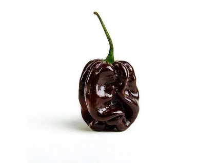 Habanero Chocolate