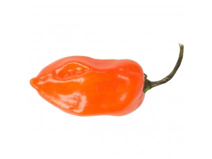 Habanero Orange