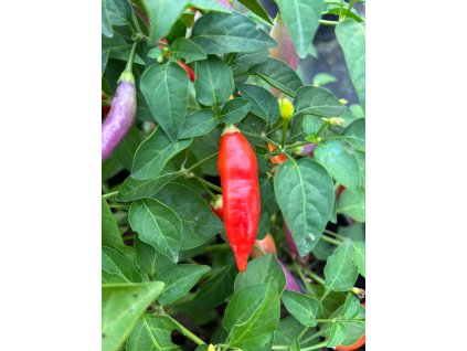 3f6ab9c7 09d6 4899 979d a8592a62a48f