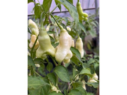 b60c1aaa b9b6 44de 874c 8b185ed03a21