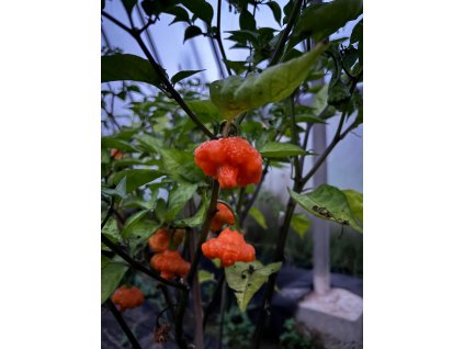 5ffd1685 8b40 433c 8270 cb919be53bbb