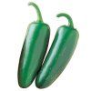 Jalapeno