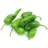 Padrón – čerstvé papričky