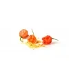 Carolina Reaper – čerstvé chilli papričky