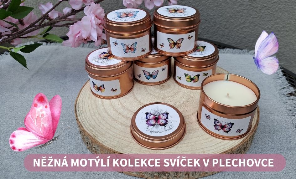 motýli kolekce