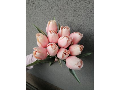 tulipan broskvovozluta (2)