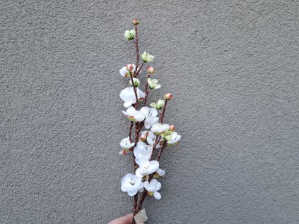 větev rozkvetlé třešně | bílá 61 cm