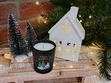 svicka ve skle vuni jehlici (4)