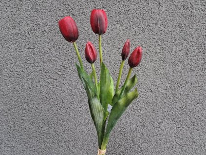 gumové tulipány svazek 5 ks | červená