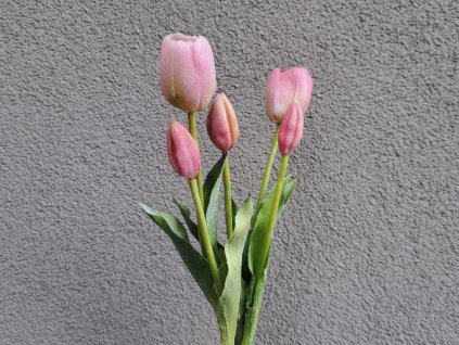 gumové tulipány svazek 5 ks | růžová