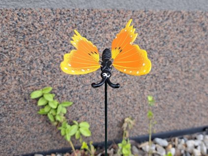 motyl zapich