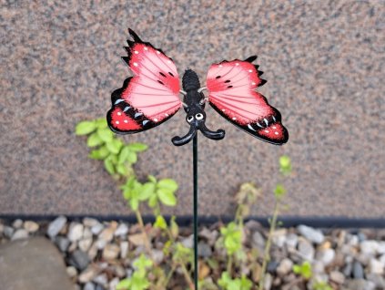 zapich motyl