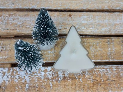 čajova svicka stromecek bila