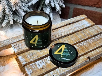 vonna svicka ve skle (17)