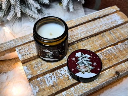 vonna svicka ve skle (31)