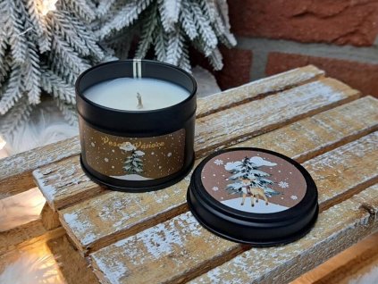 vonna svicka v plechovce (10)