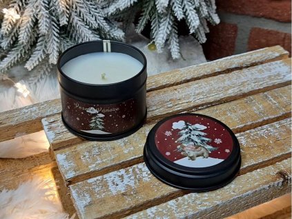 vonna svicka v plechovce (12)