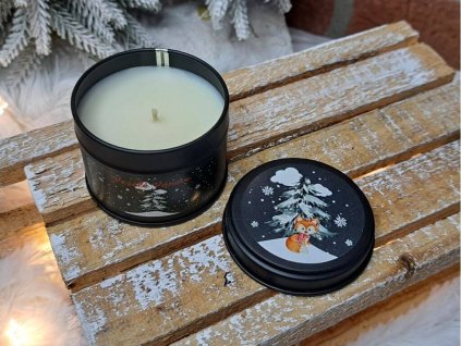 vonna svicka v plechovce (16)